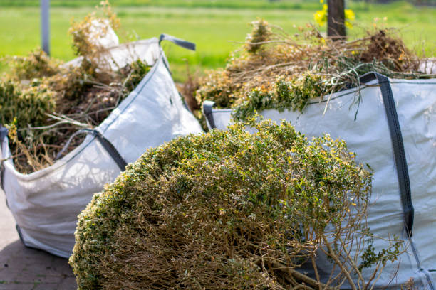 Yard Cleanup Services in Wurtsboro, NY